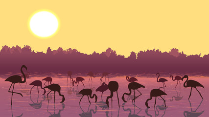 Fototapeta premium Vector flamingos at sunset in the river.