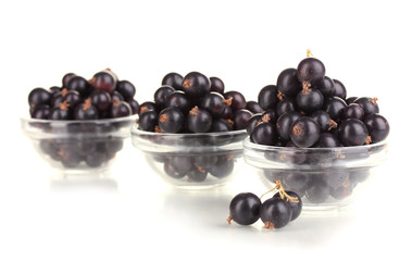 Fresh black currant isolated on white