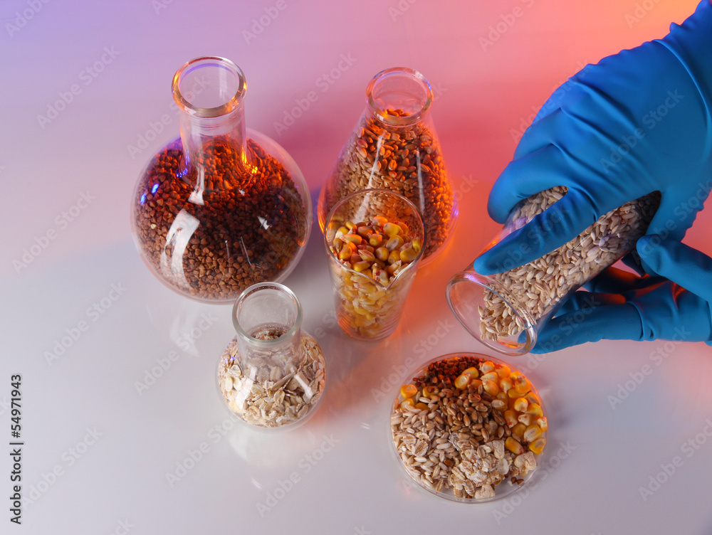 Poster groats in test tubes and hand in gloves on pink background