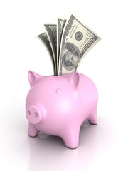 piggy money bank with hundred dollar bills