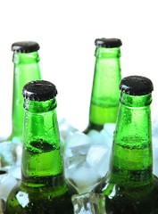 Bottles of beer with ice cubes, isolated on white