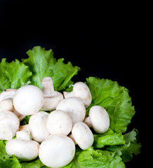 mushrooms on green lettuce leaves