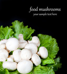 mushrooms on green lettuce leaves
