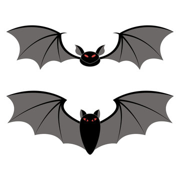 bats different types on a white background