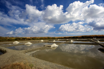 Fototapeta na wymiar gruba sól w słonych bagnach Guerande