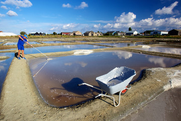 paludier récolte fleur de sel dans marais salants de Guérande