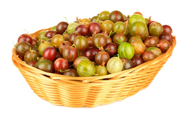 Fresh gooseberries in wicker basket isolated on white