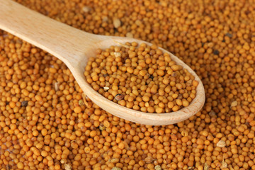 Mustard seeds, close up