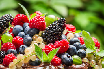 Closeup of wild fresh berry fruits