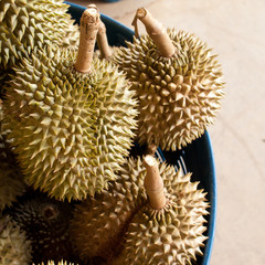Durian, king of fruit, famous fruit in Thailand