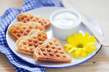 Wafers of oat bran for breakfast, selective focus