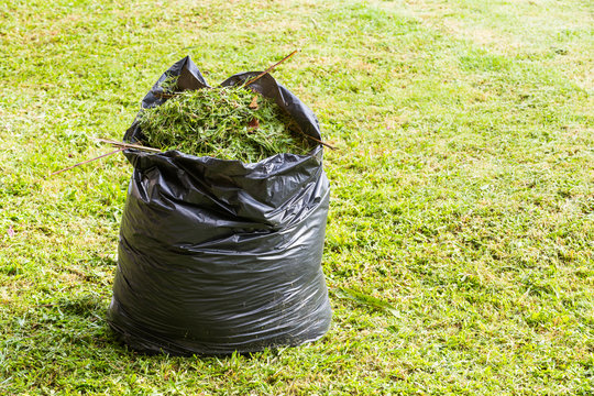Grass in garbage bag