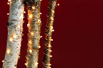 Christmas lights on birch branches