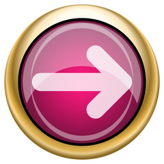 Magenta glossy icon