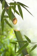 bamboo fountain