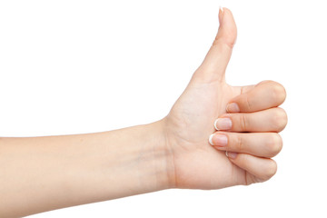 Female hand isolated on white background