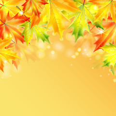 autumn maple leaves on a yellow sparkling background.autumn back