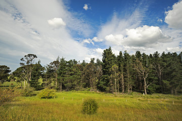 Fototapeta na wymiar typical rural scenery in Australia, with beautiful clouds in blu