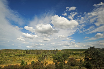 Fototapeta na wymiar typical rural scenery in Australia, with beautiful clouds in blu