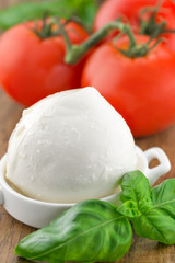Tomato and mozzarella with basil leaves on a plate