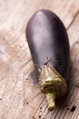 eggplant or aubergine vegetable