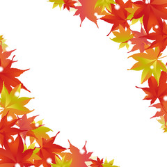 紅葉　もみじ　秋 フレーム
