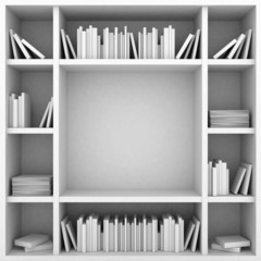 bookshelves on a white background © mrgarry