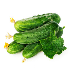 Crisp green cucumbers with leaf on a white background