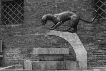 Contrada della pantera © bonilla1879