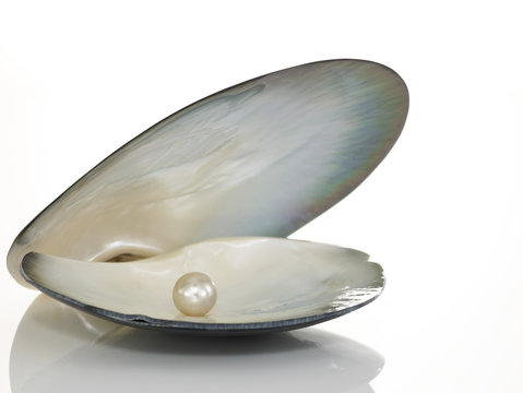 Shell with pearl inside - Powered by Adobe