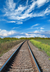 Fototapeta na wymiar Railway perspective with green grass on sides