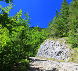 Fototapeta na wymiar Kvacianska dolina - valley in region Liptov, Slovakia