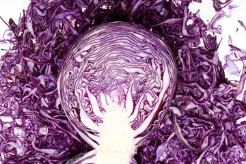 Obraz premium Red Cabbage on White Background