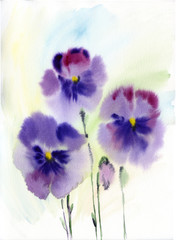 Watercolor Pansies