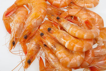 fresh shrimp  isolated on a white background