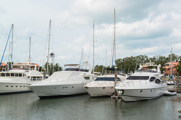 group of yachts at the marina