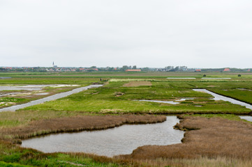 Fototapeta na wymiar Chronione środowisko ptaków w Texel