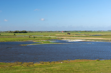 Protected bird environment at Tesxel