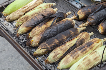 grilled fresh corn or troast fresh corn