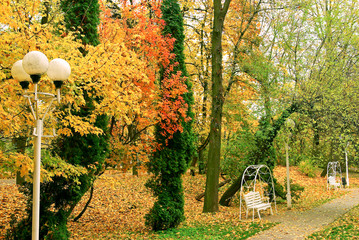 Red,yellow leaves on the trees in autumn Park.