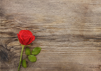 Red rose on wooden background. Blank board, copy space