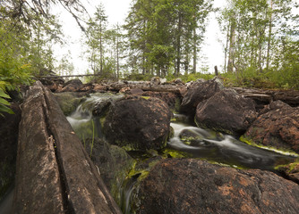Fototapeta na wymiar Small creek in nature reserve Trollmosseskogen, Dalarna, Sweden