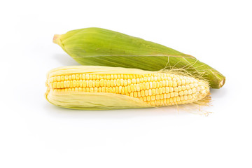 fresh corn fruits with green leaves