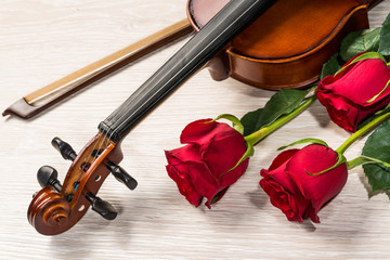 Fototapeta premium Violin, rose and music books