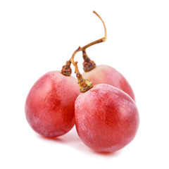 red grape
