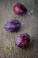 three ripe plums with leaves © GCapture