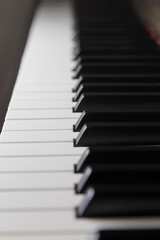 close up photo of piano keys