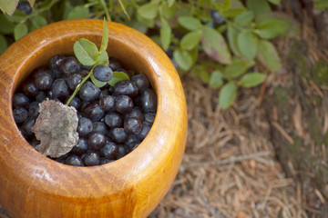 mortar with blueberries in wood