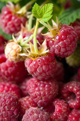 Raspberry background