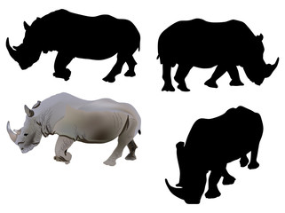 four rhinoceroses on white